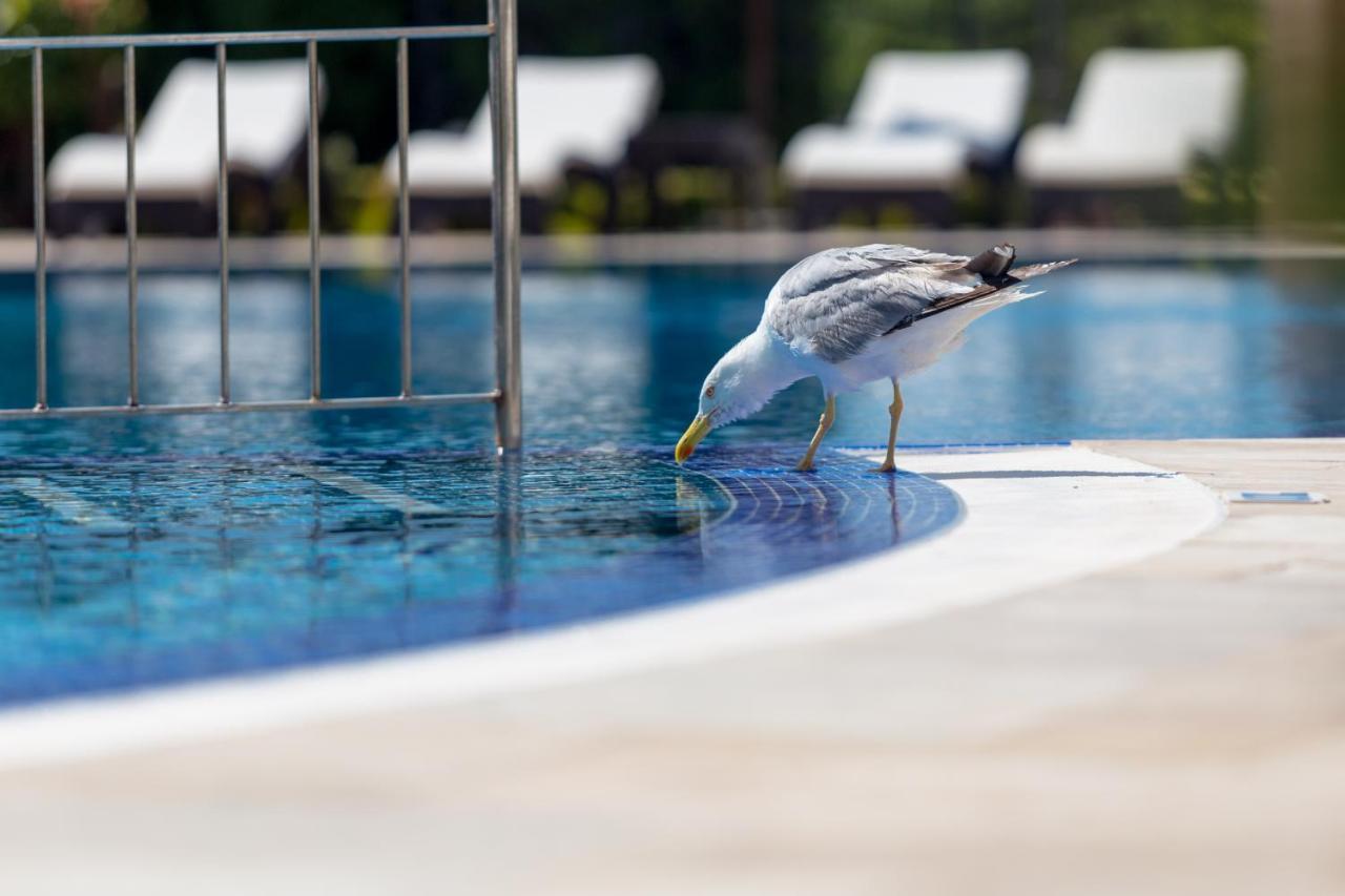 Villa Florence Boutique Apart Hotel Sveti Vlas Bagian luar foto